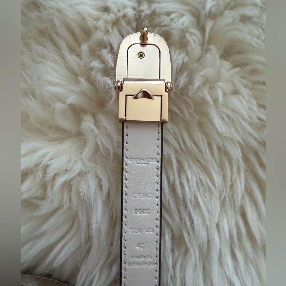 Coach and Gray Belt Bag - Picture 2 of 5